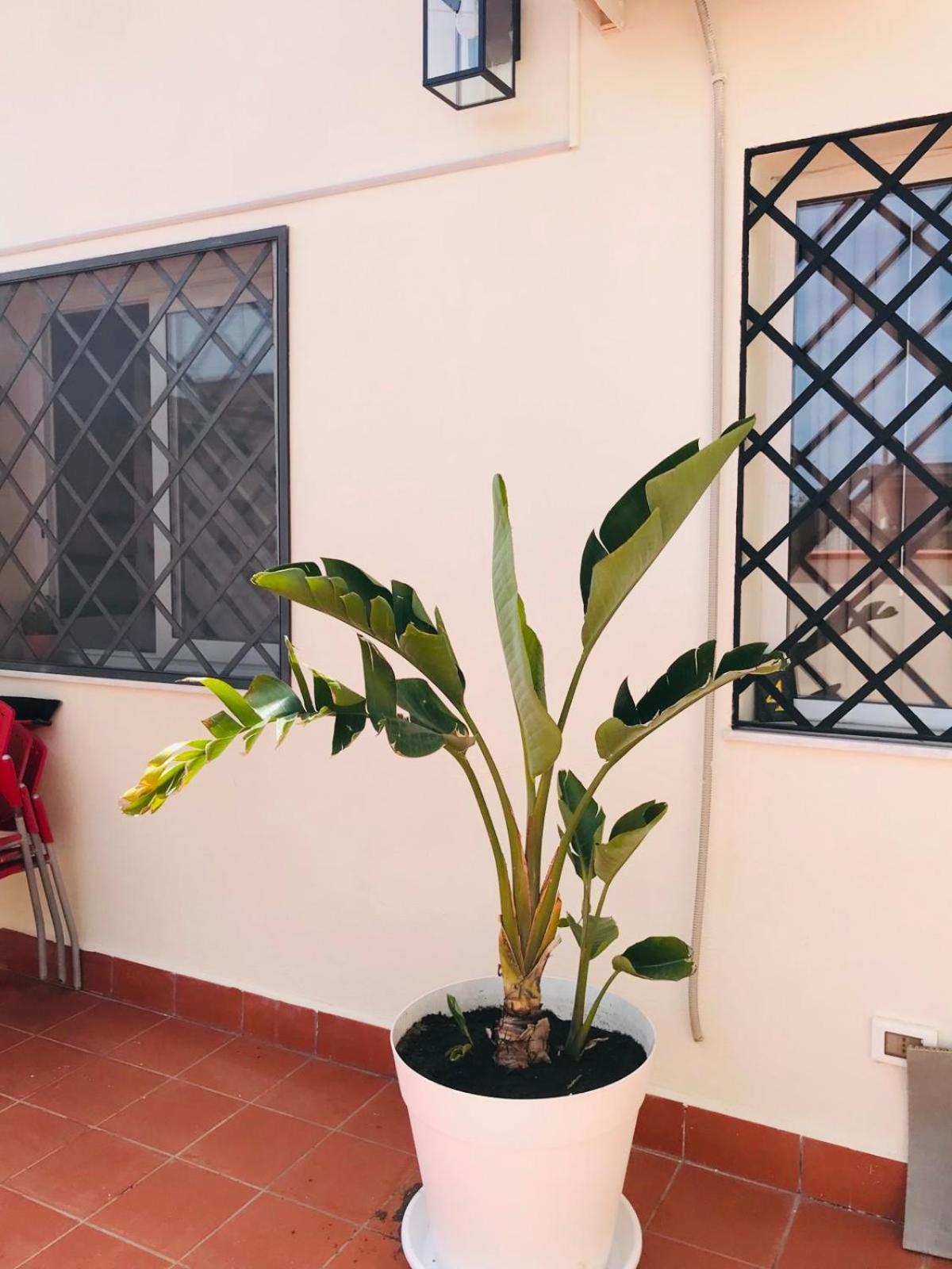 Lavica Di Mezzo Apartments Catania Ngoại thất bức ảnh