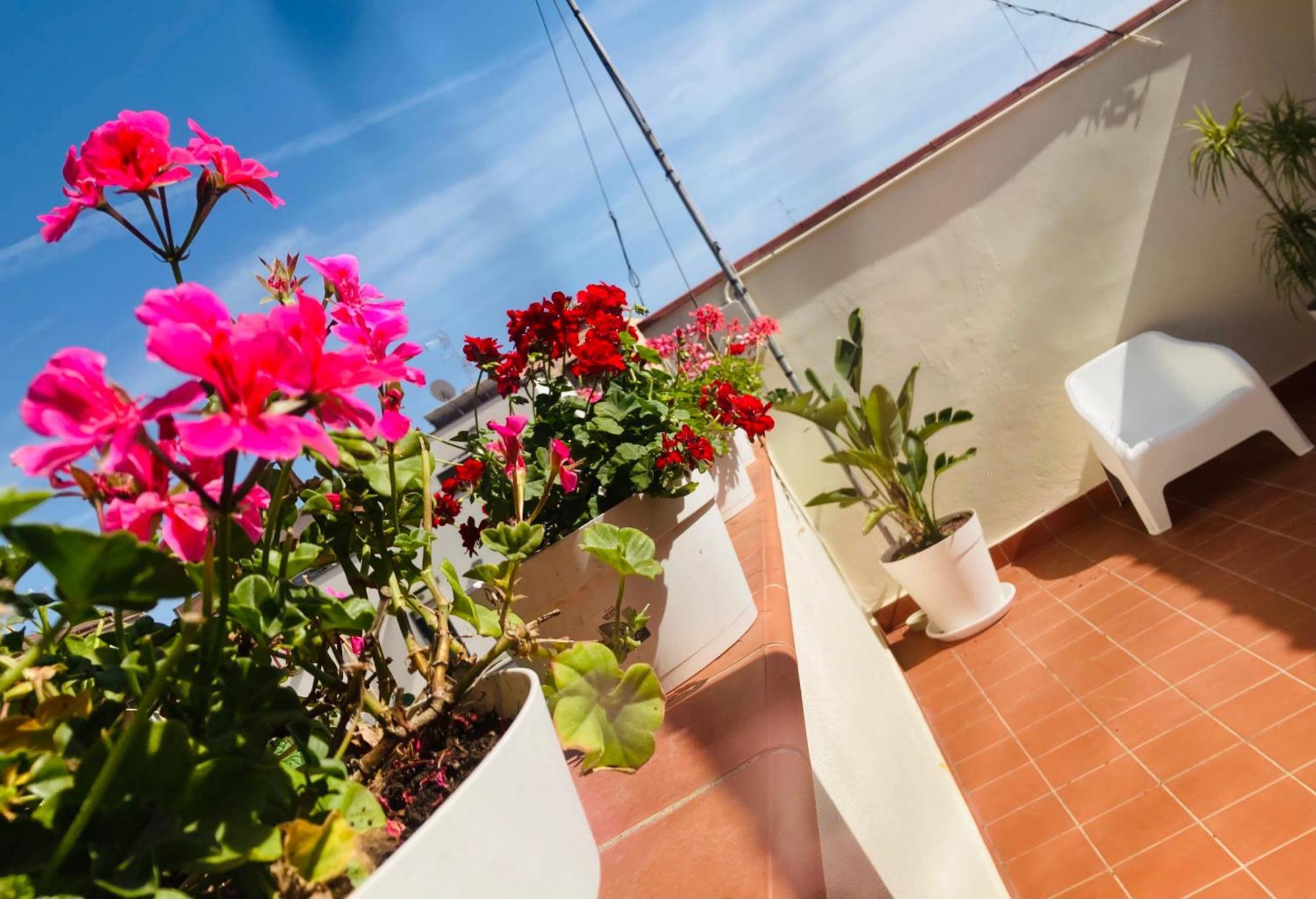 Lavica Di Mezzo Apartments Catania Ngoại thất bức ảnh